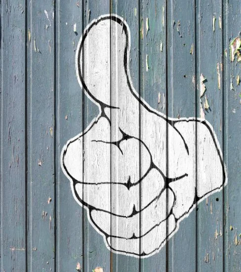 Tako WebDesign arvostettu